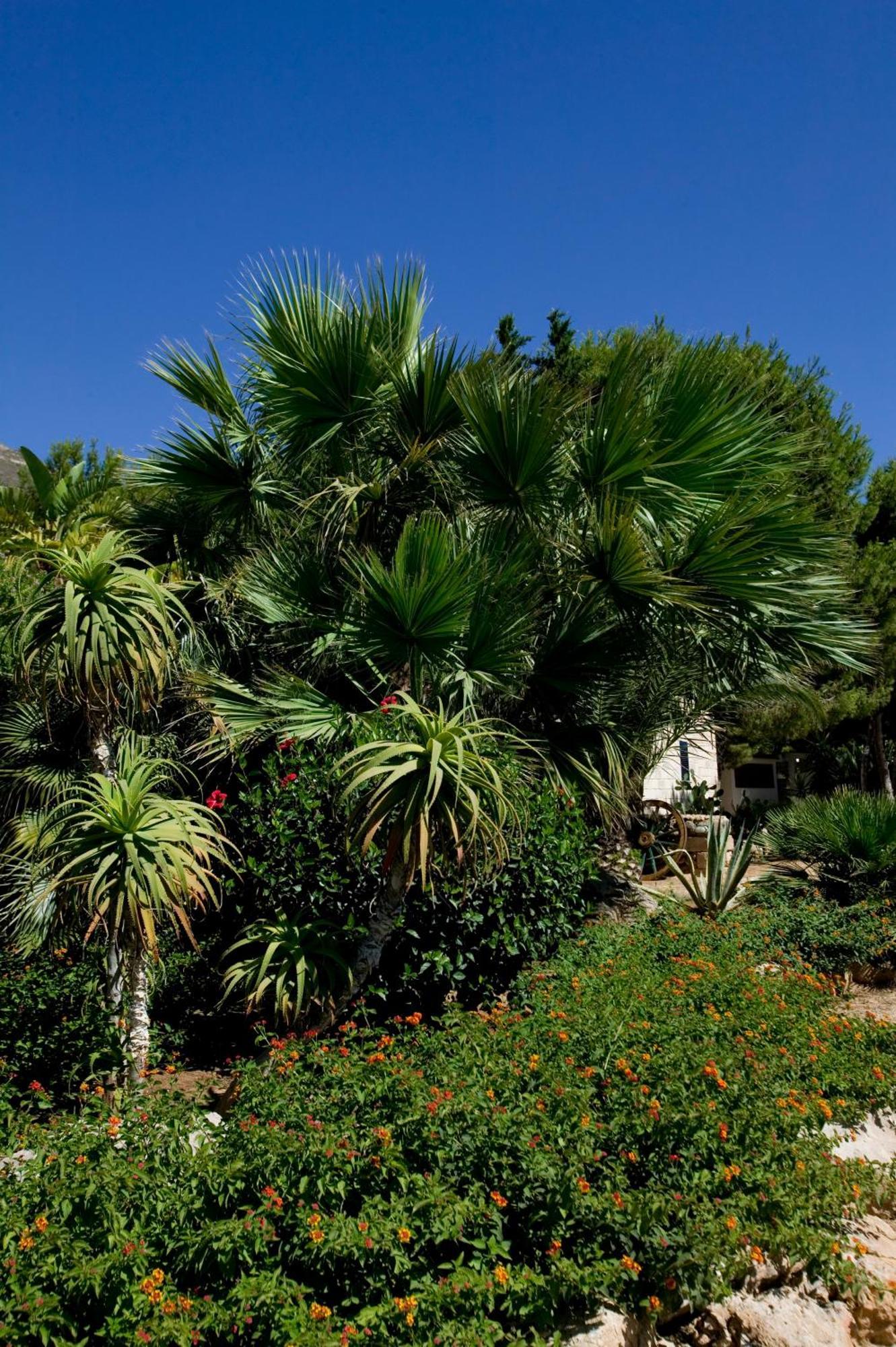 Miramare Favignana
